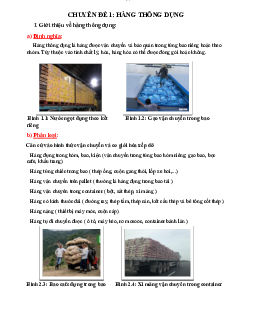 Bài thuyết trình Hàng hóa vận tải- hàng thông dụng | Trường Đại học Giao thông Vận Tải