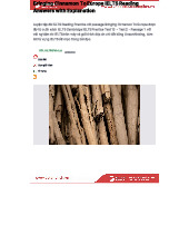 W5 IELTS Reading: Bringing Cinnamon to Europe - Passage & Answers