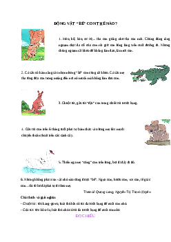 Giải SGK môn Tiếng việt 2 - Bài 25: Động vật “bế” con thế nào? (6) | Cánh Diều