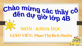 Giáo án điện tử Khoa học 4 Bài 21 Cánh diều: Nấm gây hỏng thực phẩm và nấm độc (Tiết 2)