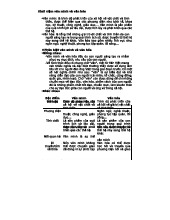 Khái niệm Văn minh và Văn hóa: So sánh và Phân tích Chi tiết