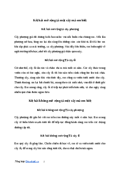 Văn mẫu Kết bài mở rộng hoặc không mở rộng tả một cây mà em biết | kết nối tri thức