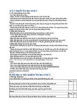 Lý thuyết và bài tập luyện tập Tin học 6 bài 2: Thông tin và biểu diễn thông tin | Chân trời sáng tạo