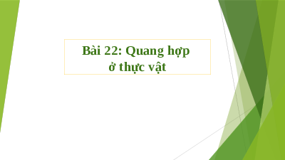 Giáo án điện tử Khoa học tự nhiên 7 bài 22 Kết nối tri thức : Quang hợp ở thực vật