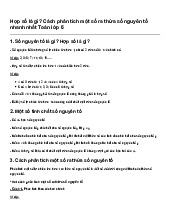 Hợp số là gì? Cách phân tích một số ra thừa số nguyên tố nhanh nhất Toán lớp 6