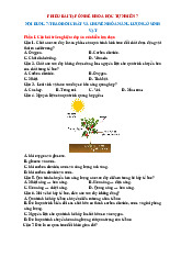 Bài tập hè Khoa học tự nhiên lớp 7 Chủ đề 7