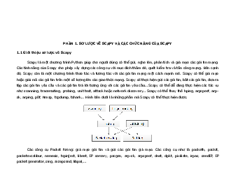 Hướng dẫn sử dụng Scapy linux