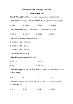 Phiếu bài tập cuối tuần lớp 3 - Tuần 28 (nâng cao) | Cánh Diều