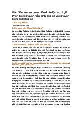 Đặc điểm của cơ quan hiến định độc lập là gì? Phân biệt cơ quan hiến định độc lập và cơ quan kiểm soát độc lập