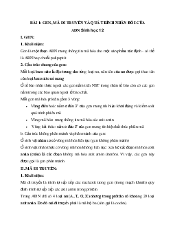 Sinh học 12 bài 1: Gen, mã di truyền và quá trình nhân đôi ADN
