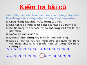 Giáo án điện tử Khoa học tự nhiên 7 bài 28 Kết nối tri thức : Trao đổi khí ở sinh vật