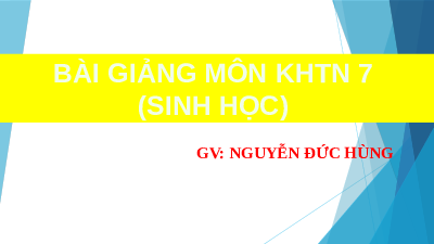 Giáo án điện tử Khoa học tự nhiên 7 bài 34 Kết nối tri thức : Vận dụng hiện tượng cảm ứng ở sinh vật vào thực tiễn