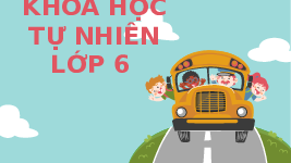 Giáo án điện tử Khoa học tự nhiên 6 bài 36 Kết nối tri thức : Động vật