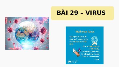 Giáo án điện tử Khoa học tự nhiên 6 bài 24 Chân trời sáng tạo :  Virus