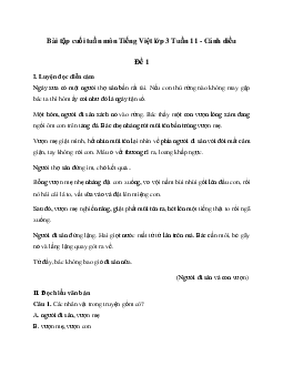 Bài tập cuối tuần lớp 3 môn Tiếng Việt Cánh diều - Tuần 11