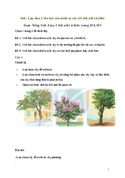 Soạn bài Viết: Lập dàn ý cho bài văn miêu tả cây cối | Kết nối tri thức