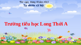 Giáo án điện tử Tự nhiên và xã hội  2 Bài 8 Chân trời sáng tạo : An toàn và giữ vệ sinh khi tham gia các hoạt động ở trường.