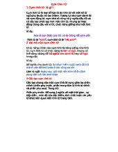 Cụm Tính Từ - Giới Thiệu & Bài Tập Về Cụm Tính Từ Tiếng Việt 3