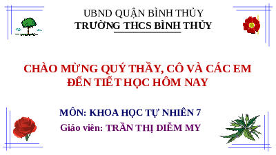 Giáo án điện tử Khoa học tự nhiên 7 bài 30 Kết nối tri thức : Trao đổi nước và chất dinh dưỡng ở thực vật