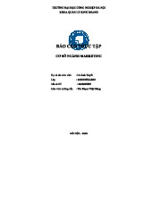 Báo cáo Thực Tập Marketing Tại Công Ty TNHH Soka (2020 DHMAR)