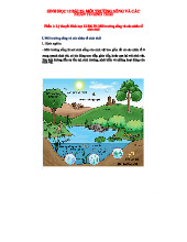 Sinh học 12 - Bài 35: Môi Trường Sống & Nhân Tố Sinh Thái - 85 Câu Trắc Nghiệm