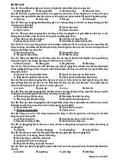 Bộ đề ôn thi Đề Số 01 và Số 02 | Pháp Luật Đại Cương | Trường Đại học Hà Nội