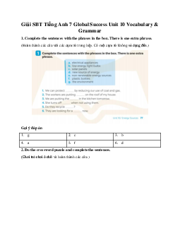 Giải SBT Tiếng Anh 7 Global Success Unit 10 Vocabulary & Grammar