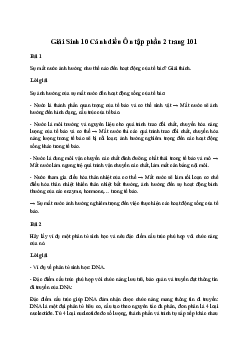 Giải Sinh học 10: Ôn tập phần 2 | Cánh diều