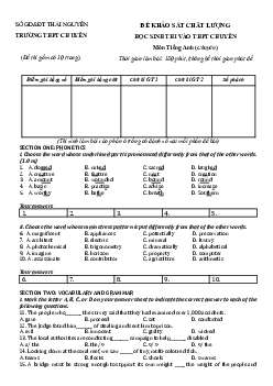 Đề thi thử tuyển sinh lớp 10 THPT tỉnh Thái Nguyên năm học 2020-2021 môn Tiếng Anh (chuyên) (có đáp án)