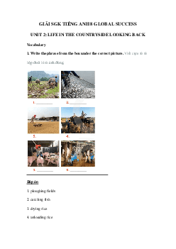 Tiếng Anh 8 unit 2 Looking back trang 26 Global success