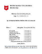 Quản trị hệ thống thông tin tại MASAN - Bài giữa kỳ 232 | Đại học Văn Lang