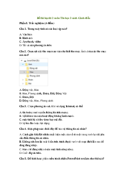 Đề thi Tin học lớp 3 học kì 2 Cánh Diều năm học 2022 - 2023