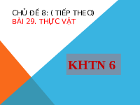 Giáo án điện tử Khoa học tự nhiên 6 bài 29 Chân trời sáng tạo : Thực vật