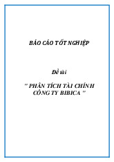 Báo cáo tốt nghiệp đề tài "  Phân tích tài chính công ty Bibica" | Đại học Đồng Tháp