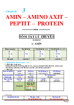 Chuyên đề Amin- Amino Axit- Peptit- Protein