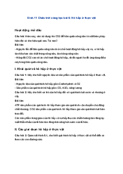 Sinh 11 Chân trời sáng tạo bài 6: Hô hấp ở thực vật