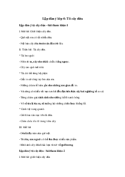 Lập dàn ý Tả cây dừa | Tập làm văn lớp 4