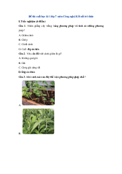 Đề thi học kì 1 môn Công Nghệ lớp 7  | Kết nối tri thức