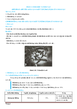 Trắc nghiệm Sinh học Vi sinh vật (có đáp án)