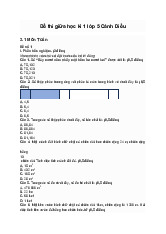 Đề thi giữa học kì 1Toán lớp 5 Cánh Diều