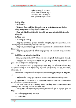 Giáo án Bài 35: Thực hành: Cảm ứng ở sinh vật | Khoa Học Tự Nhiên 7 Kết nối tri thức
