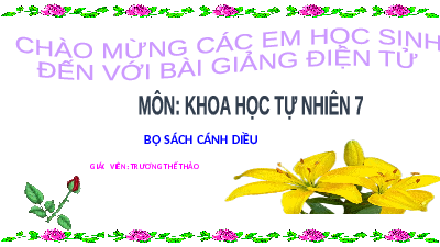 Giáo án điện tử Khoa học tự nhiên 7 Bài 18 Cánh diều: Quang hợp ở thực vật