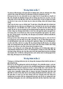 Tả cây tràm lớp 4 | Tập làm văn lớp 4