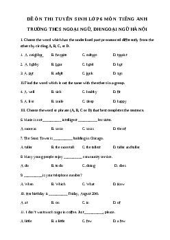 Đề thi thử vào lớp 6 môn Tiếng Anh trường THCS Ngoại Ngữ năm học 2024-2025 (Đề số 3)