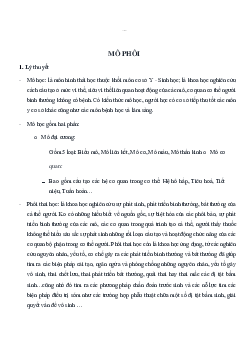 Lý thuyết định nghĩa về môn học Mô phôi