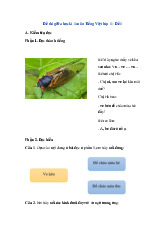 TOP 2 đề thi giữa kỳ học kỳ 1 môn Tiếng Việt lớp 1 năm học 2024 - 2025 | Bộ sách Chân trời sáng tạo