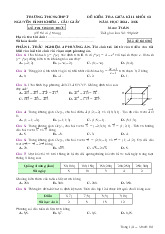 Đề giữa kì 2 Toán 12 năm 2024 – 2025 trường Nguyễn Bỉnh Khiêm – Hà Nội có đáp án