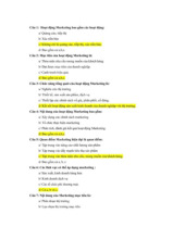 TOP Câu hỏi trắc nghiệm Môn Marketing du lịch | Đại học Kinh Tế Quốc Dân