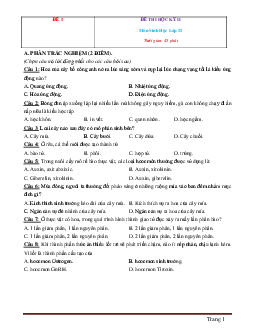 TOP 10 đề thi học kỳ 2 môn sinh học 11 (có đáp án và lời giải chi tiết)