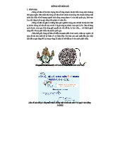 Bùng Nổ Dân Số: Khái Niệm, Ảnh Hưởng và Thực Trạng toàn cầu